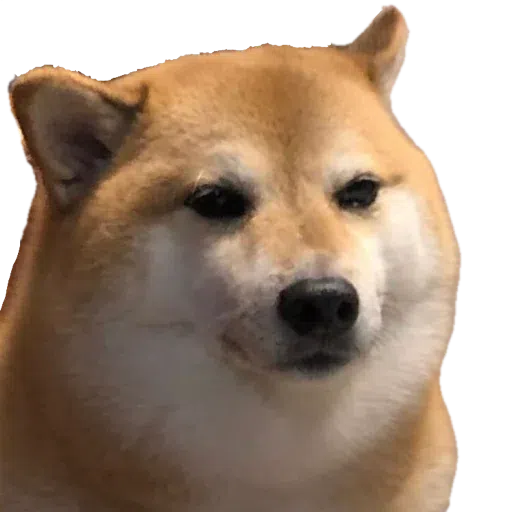 doge 2 - Sticker 30