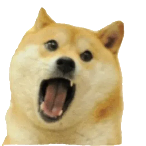 doge 2 - Sticker 19