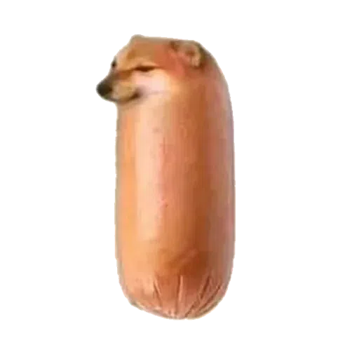 doge 2 - Sticker 16