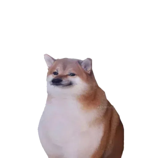 doge 2 - Sticker 21