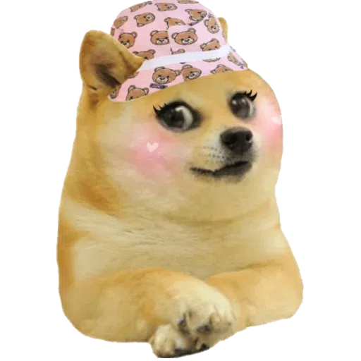 doge 2 - Sticker 12