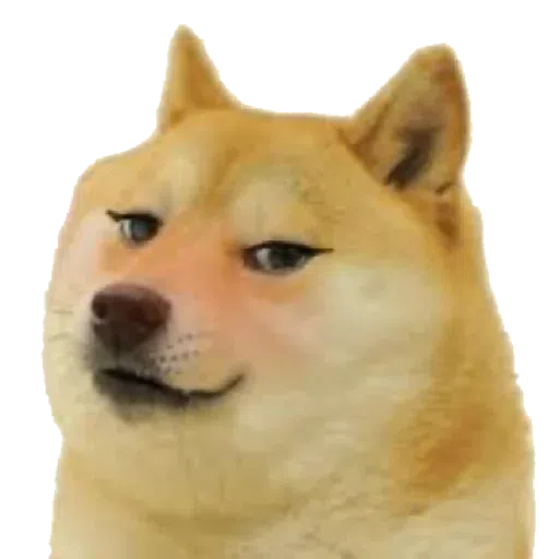 doge 2 - Sticker 22