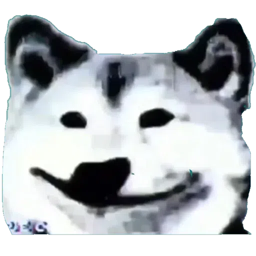 doge 2 - Sticker 25
