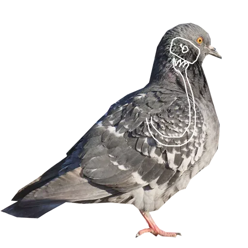 Piyions - Sticker 14