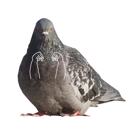 Piyions - Sticker 13