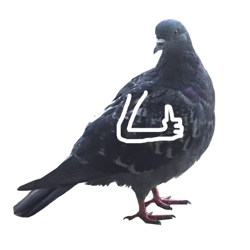 Piyions - Sticker 9