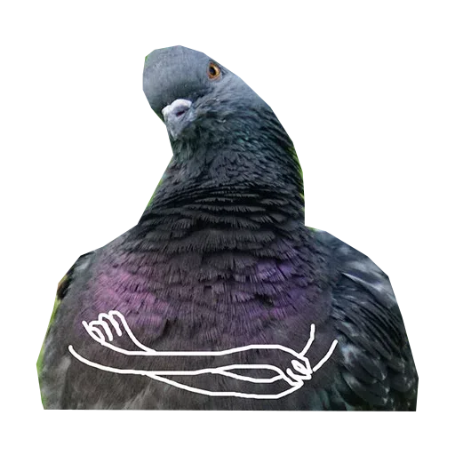 Piyions - Sticker 12