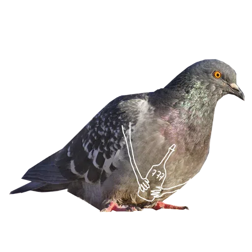 Piyions - Sticker 15