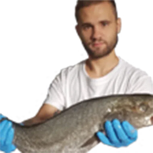 TumbluEmotes - Sticker 14