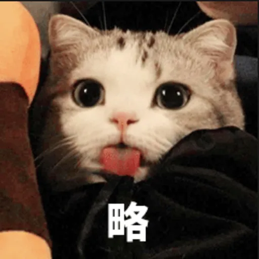 阿巴阿巴 - Sticker 12