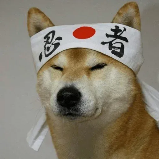 Animolz - Sticker 11