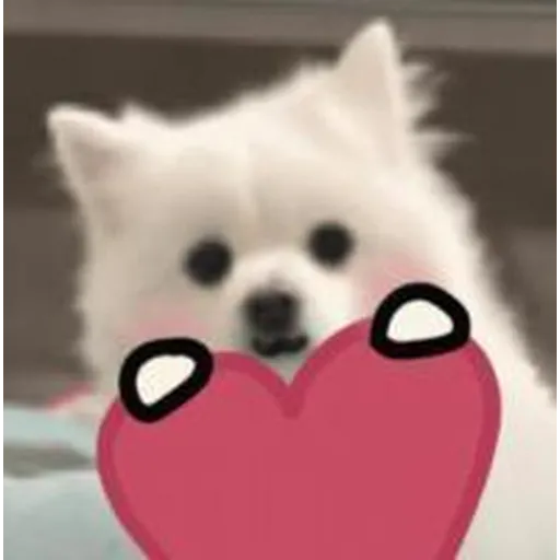 12 - Sticker 9