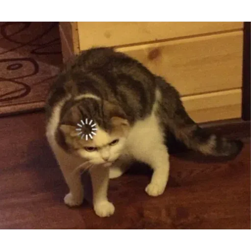 Memes 2020 - Sticker 22