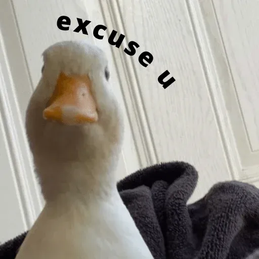 duck 3 - Sticker 25