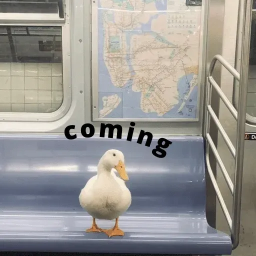 duck 3 - Sticker 15