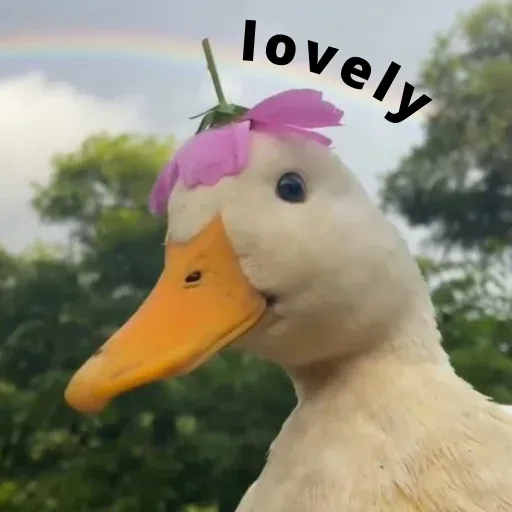 duck 3 - Sticker 27