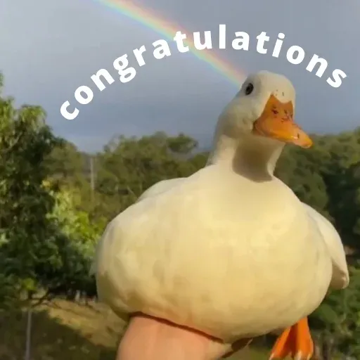 duck 3 - Sticker 26