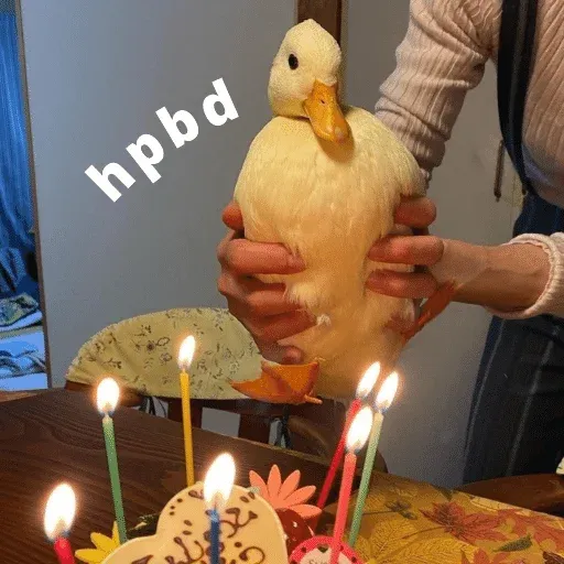 duck 3 - Sticker 18