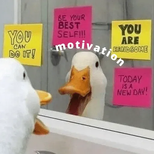 duck 3 - Sticker 17