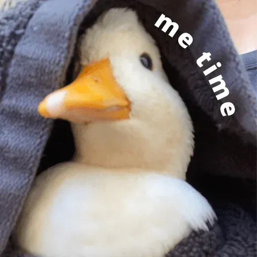 duck 3 - Sticker 24