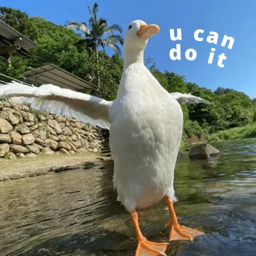 duck 3 - Sticker 14