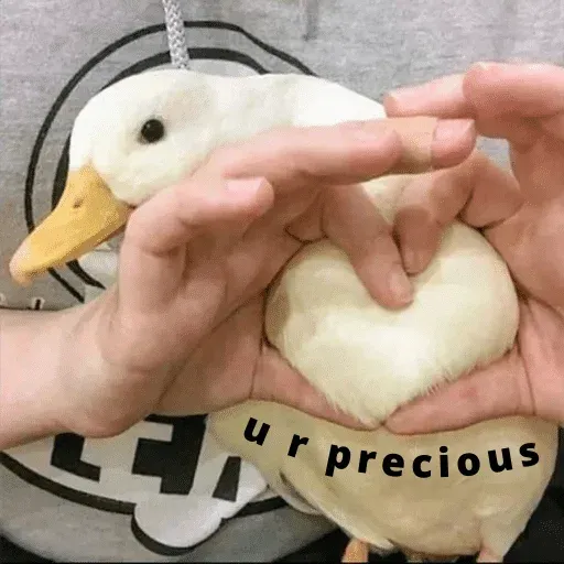 duck 3 - Sticker 13