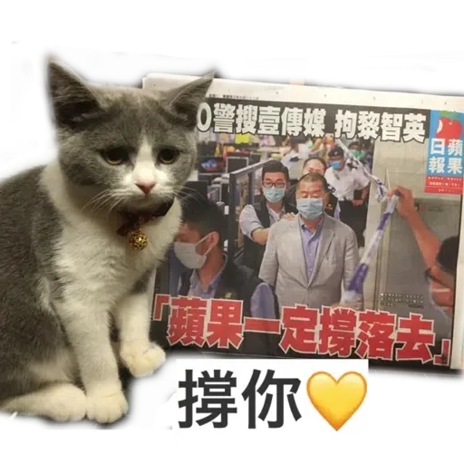 撳寶羅壹 - Sticker 15