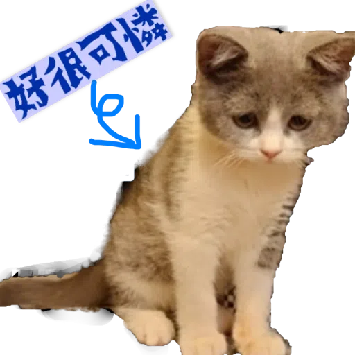 撳寶羅壹 - Sticker 23