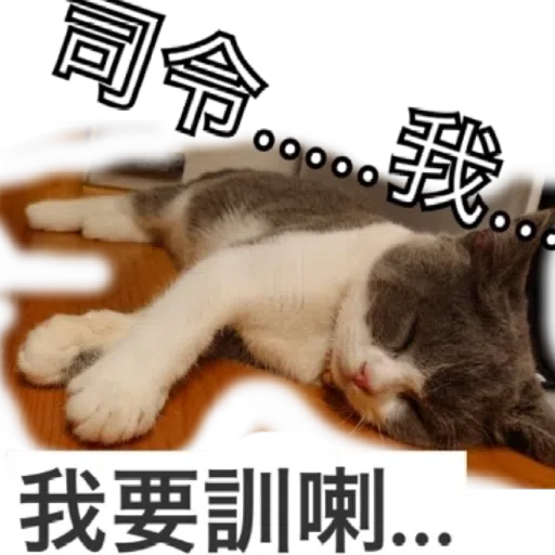 撳寶羅壹 - Sticker 11
