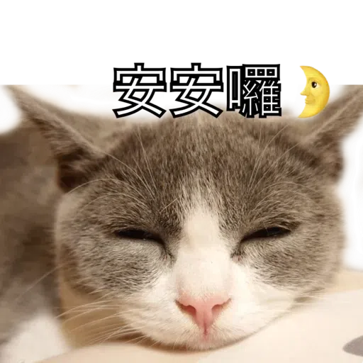 撳寶羅壹 - Sticker 29