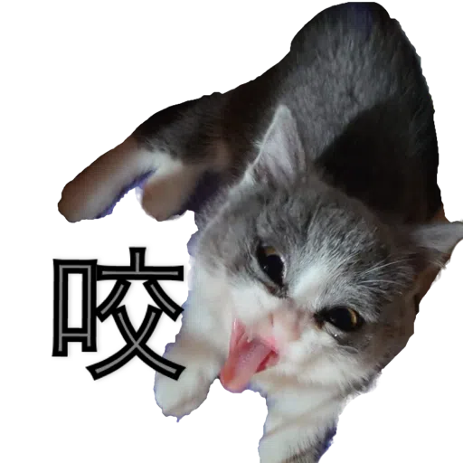 撳寶羅壹 - Sticker 26