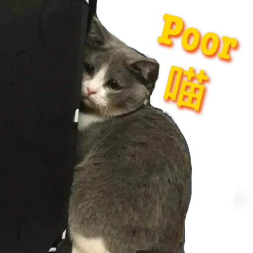 撳寶羅壹 - Sticker 13