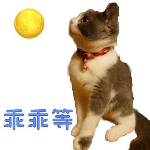 撳寶羅壹 - Sticker 14