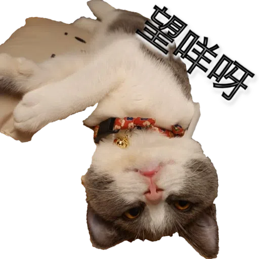 撳寶羅壹 - Sticker 19