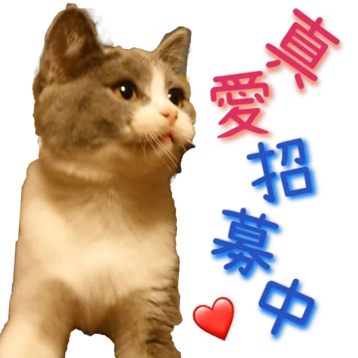 撳寶羅壹 - Sticker 10