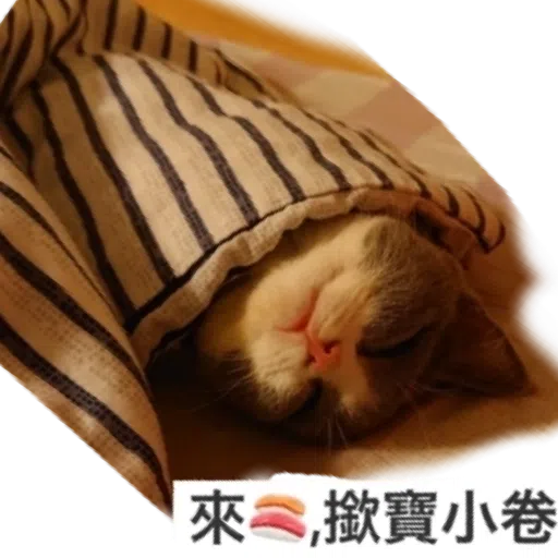 撳寶羅壹 - Sticker 27