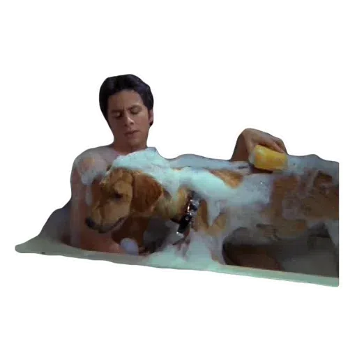Scrubs - Sticker 26