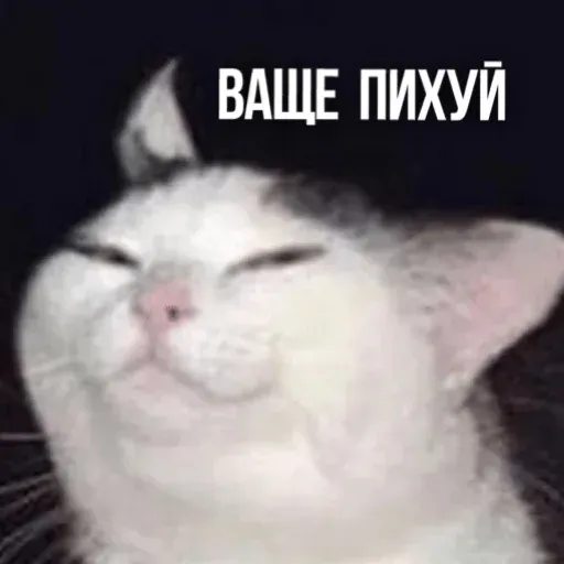 Х - Sticker 13