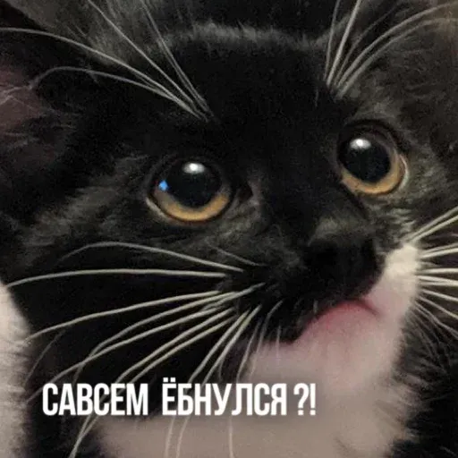 Х - Sticker 26