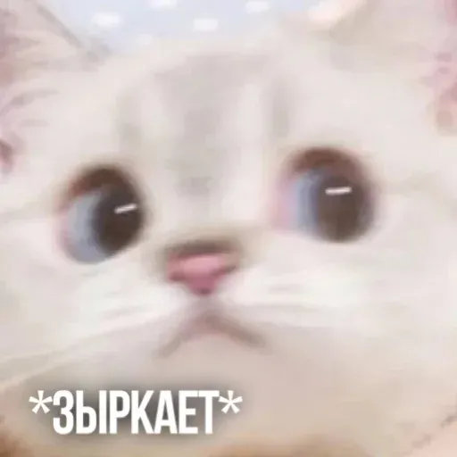 Х - Sticker 9