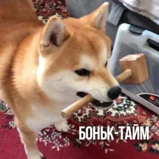 Х - Sticker 23