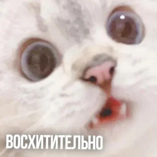 Х - Sticker 10