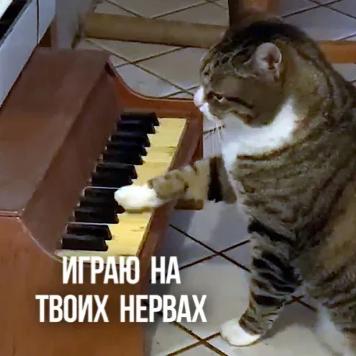 Х - Sticker 14