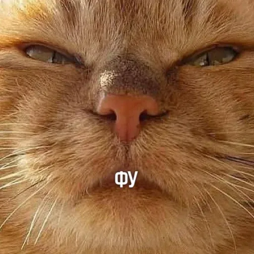 Х - Sticker 27