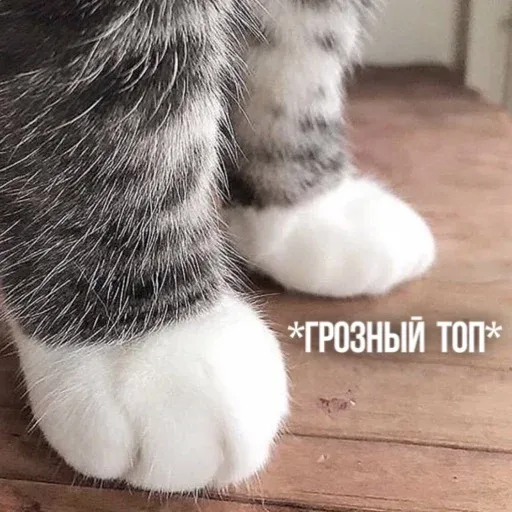 Х - Sticker 25