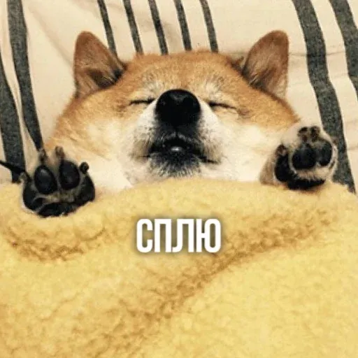 Х - Sticker 19