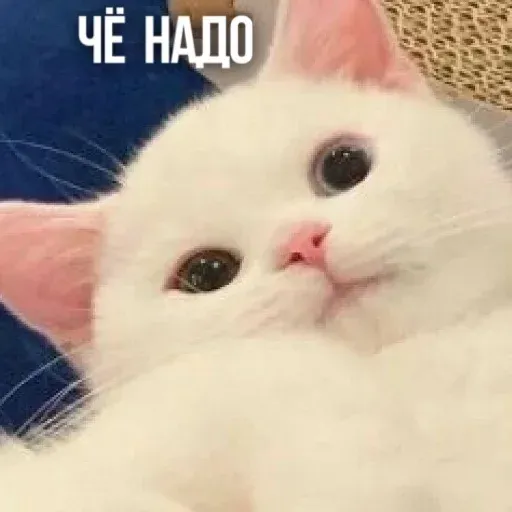 Х - Sticker 30