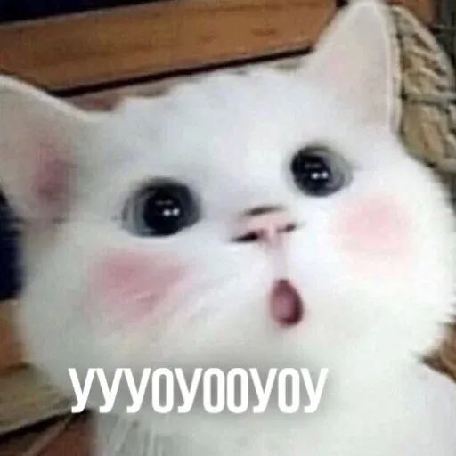 Х - Sticker 11