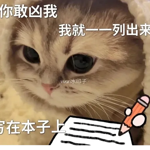 meow4 - Sticker 22