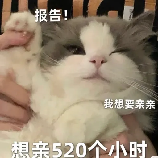 meow4 - Sticker 16